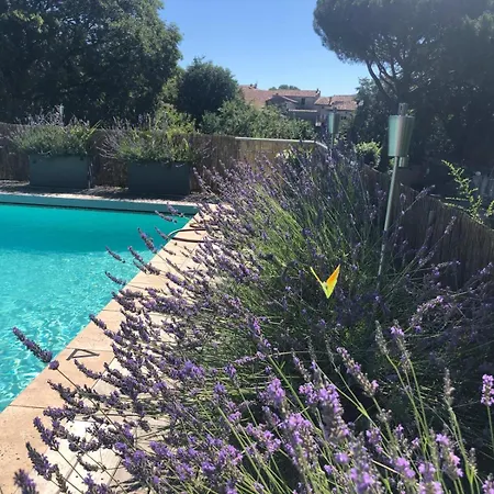 Domaine Saint-laurent * Chandolas